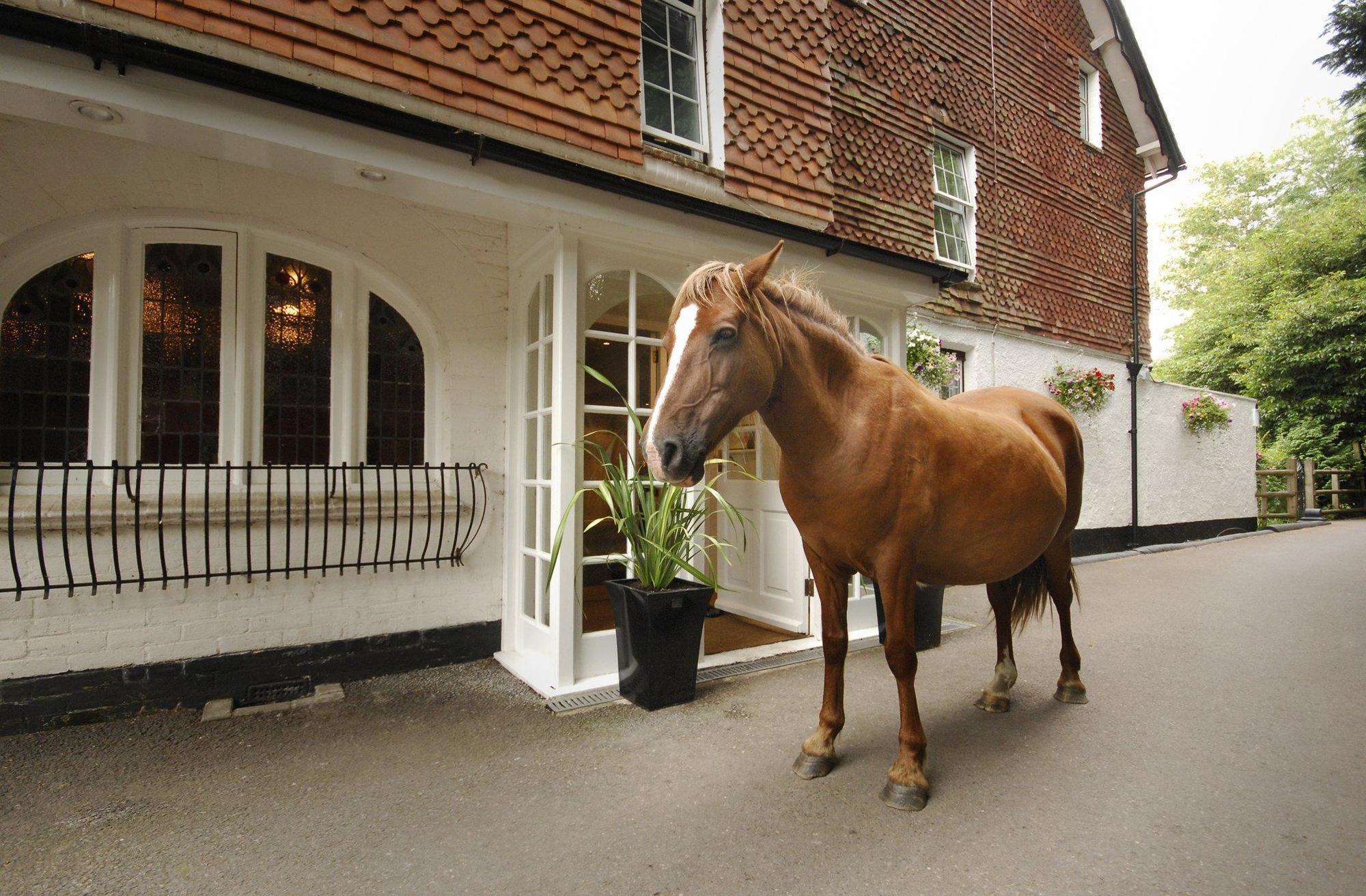 Moorhill House Bed & Breakfast Burley Bagian luar foto
