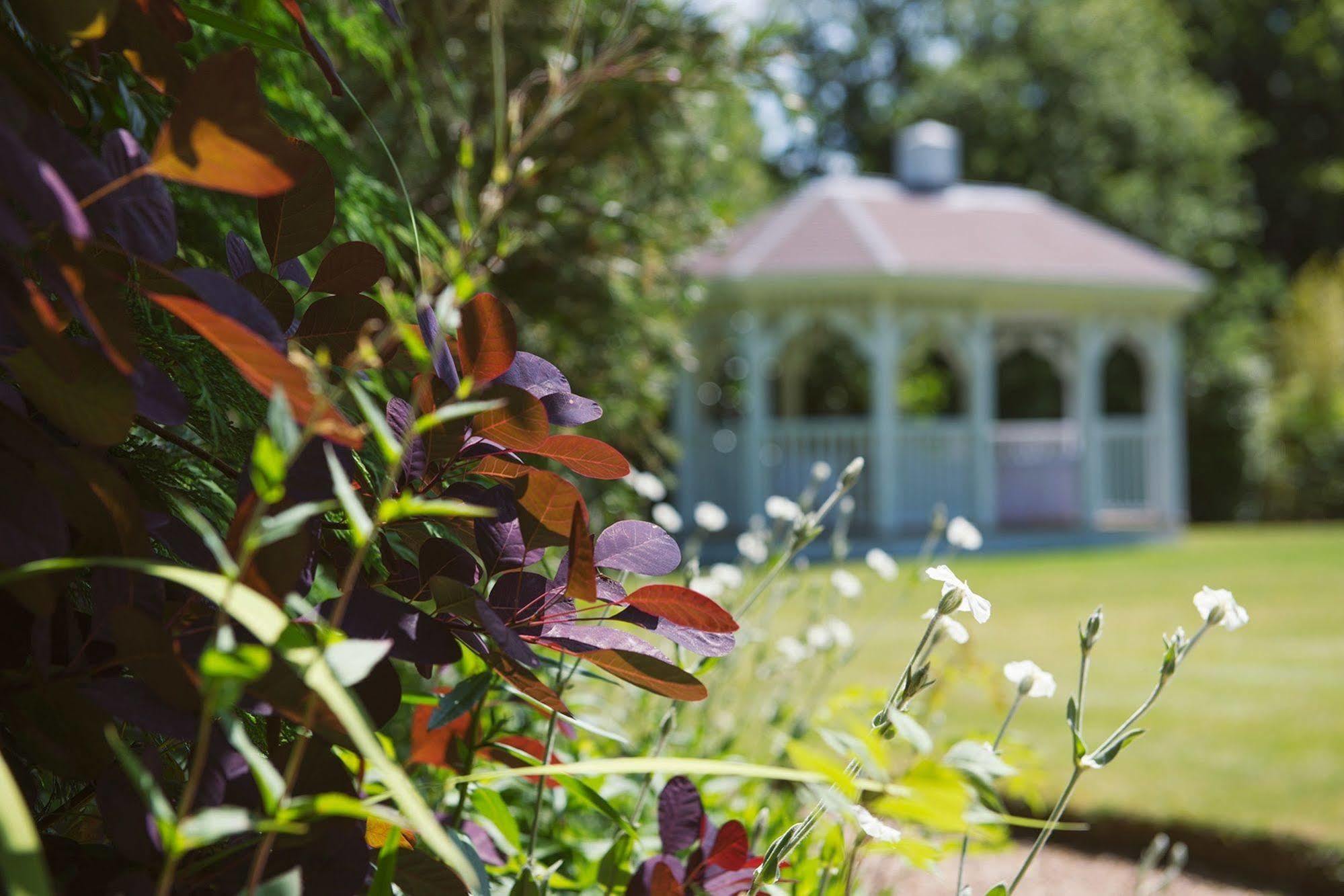 Moorhill House Bed & Breakfast Burley Bagian luar foto